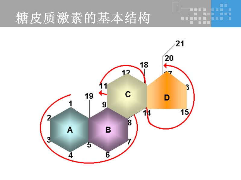 氟轻松是如何发挥其药理作用的？
